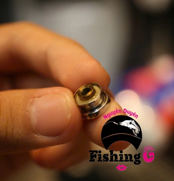 bộ ROLLER DAIWA CALDIA 2025
